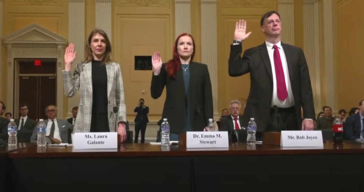 Cyber Hearing Witnesses 