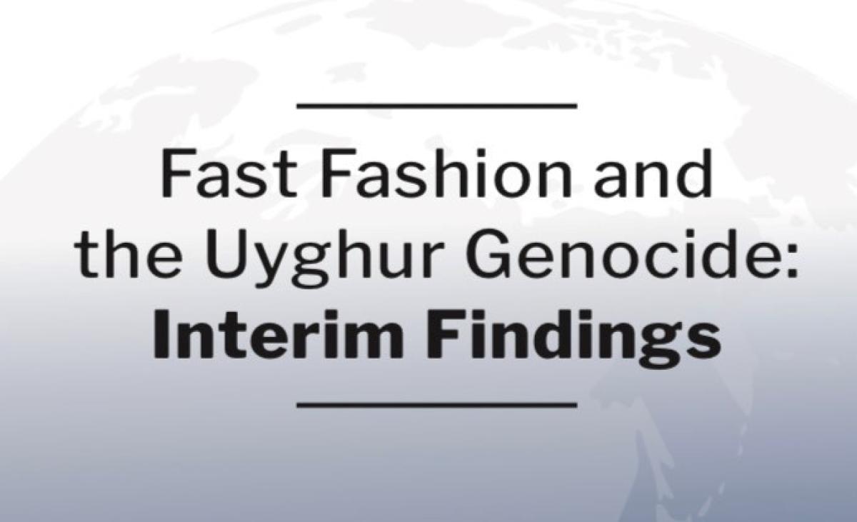 Shein and Temu Report