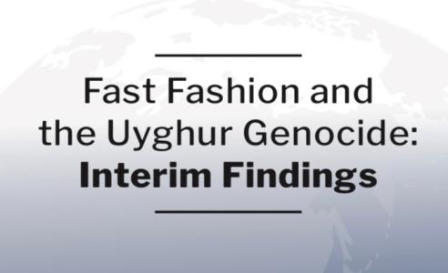 Shein and Temu Report